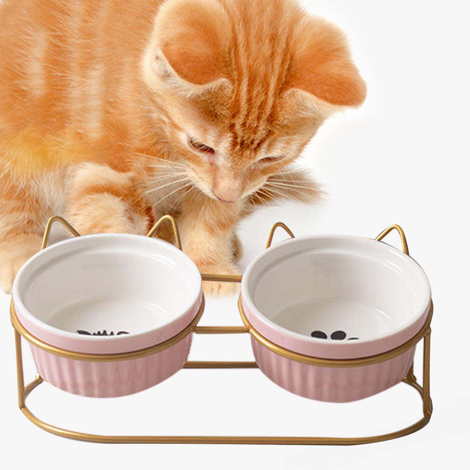 Cat Bowls Raised Iron Stuble Elevated