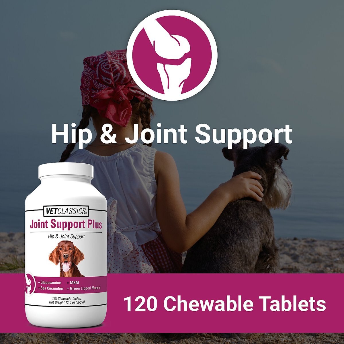 VetClassics Joint Support Plus Hip and Joint Support Chewable Tablets Dog Supplement， 120 count