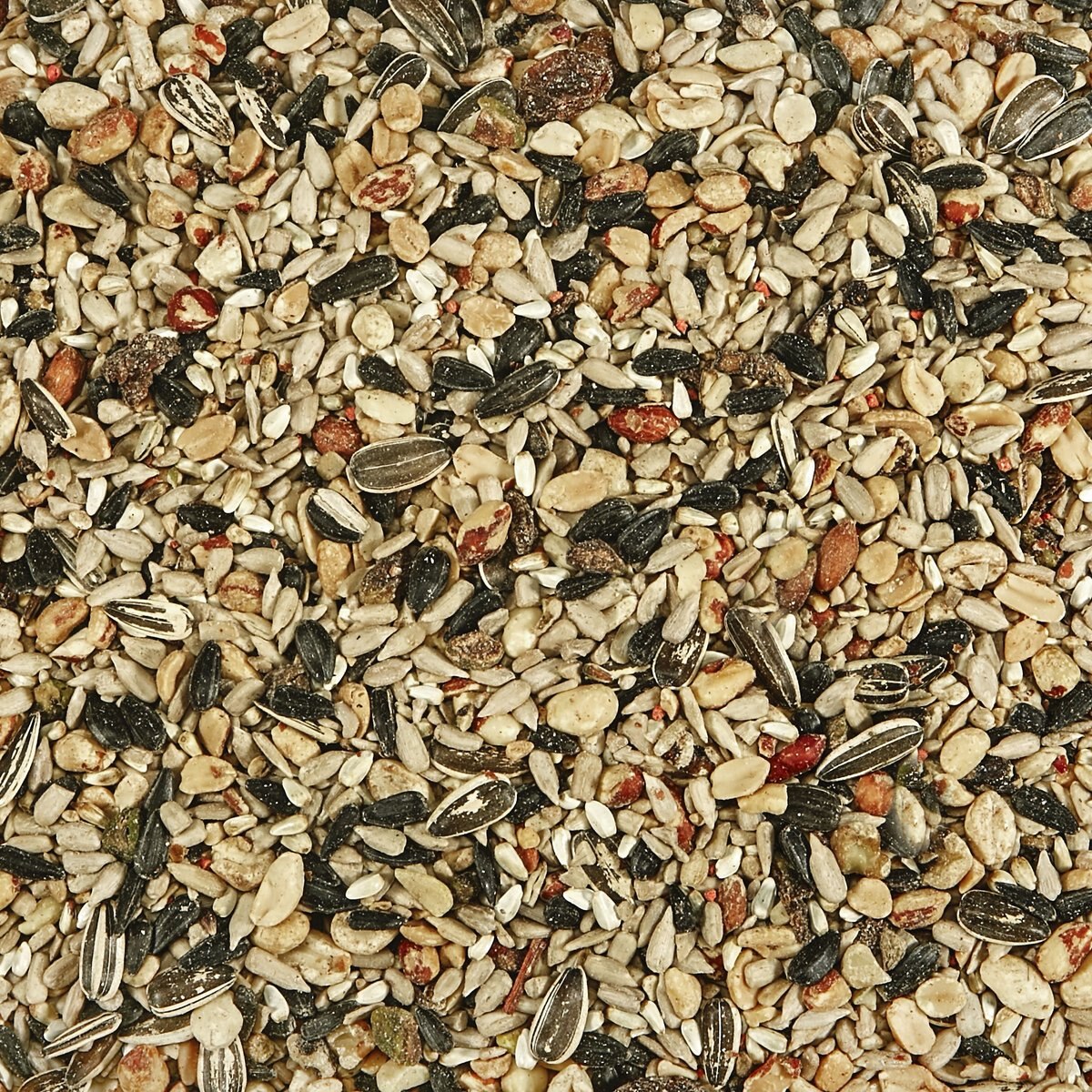 Kaytee Nut and Fruit Blend Wild Bird Food