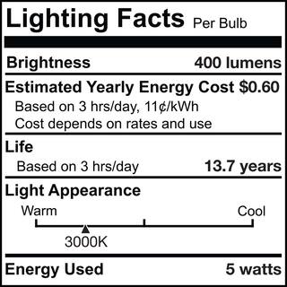 Bulbrite 40-Watt Equivalent T9 Clear Dimmable Edison LED Light Bulb Soft White (2-Pack) 861930