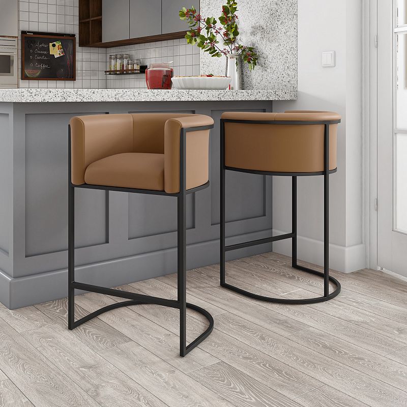 MANHATTAN COMFORT Cosmopolitan Counter Stool 2-piece Set