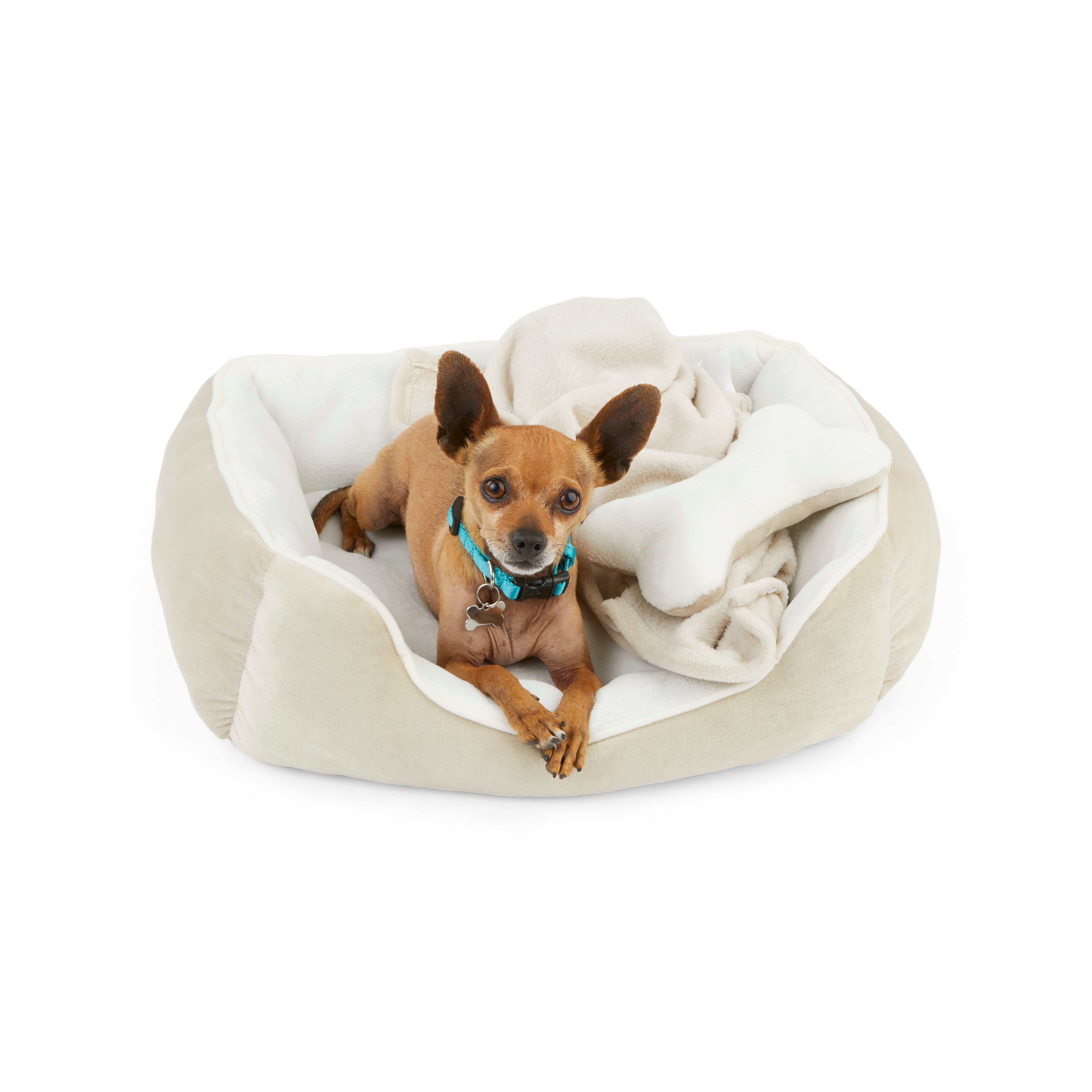 EveryYay Essentials Snooze Fest Dog Bed Bundle， 22