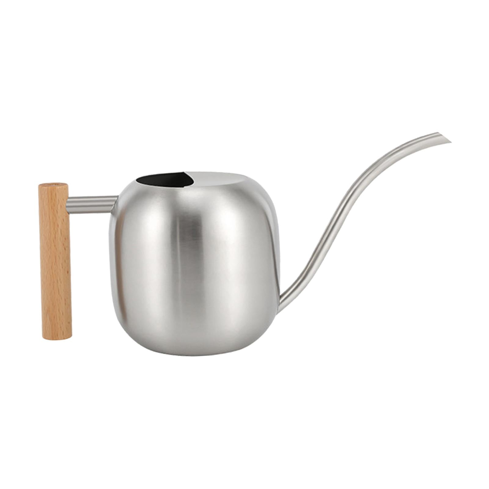 Stainless Steel Indoor Watering Can ,Modern Watering Can Pot, Wooden Handle Long Spout Watering Can for Patio, Flower ,Outdoor Decorative