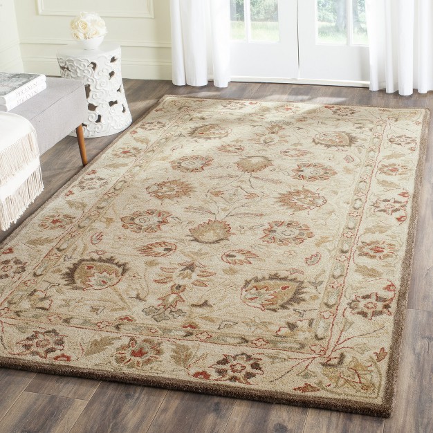 Antiquity At812 Hand Tufted Area Rug Safavieh