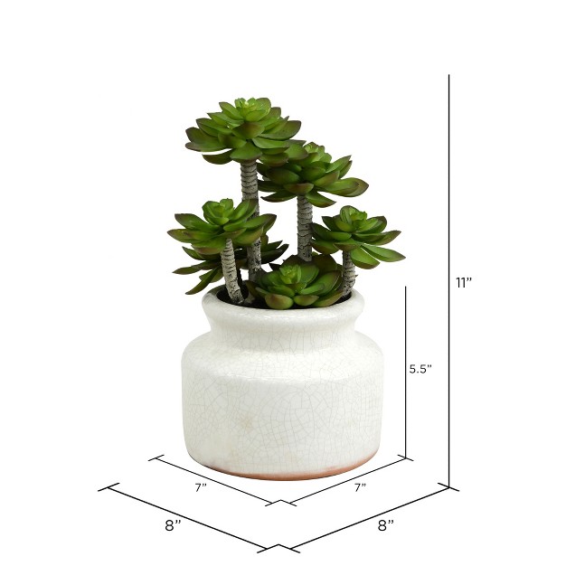 Artificial Green Succulent In Round Ceramic Pot.