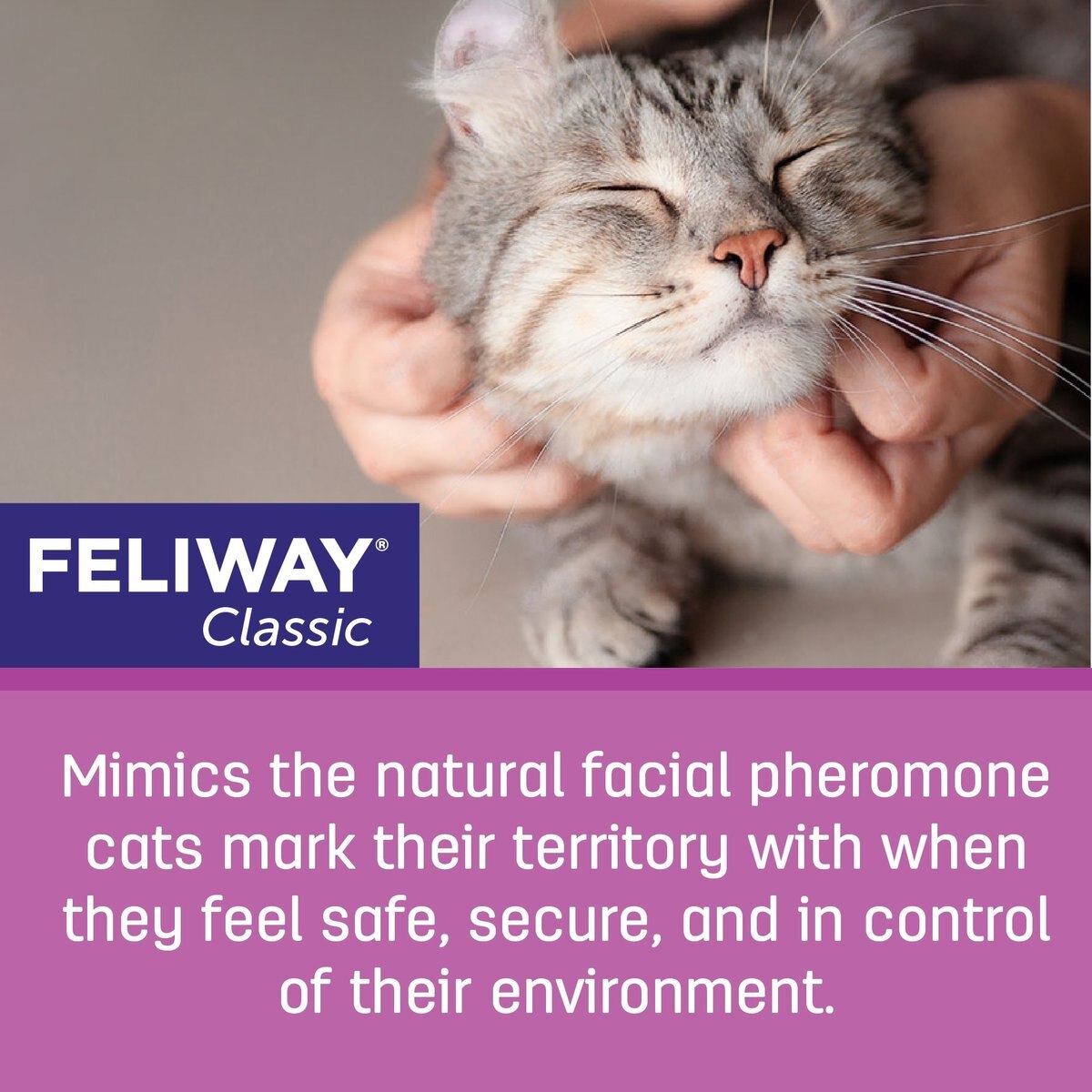 Feliway Classic Calming Spray for Cats