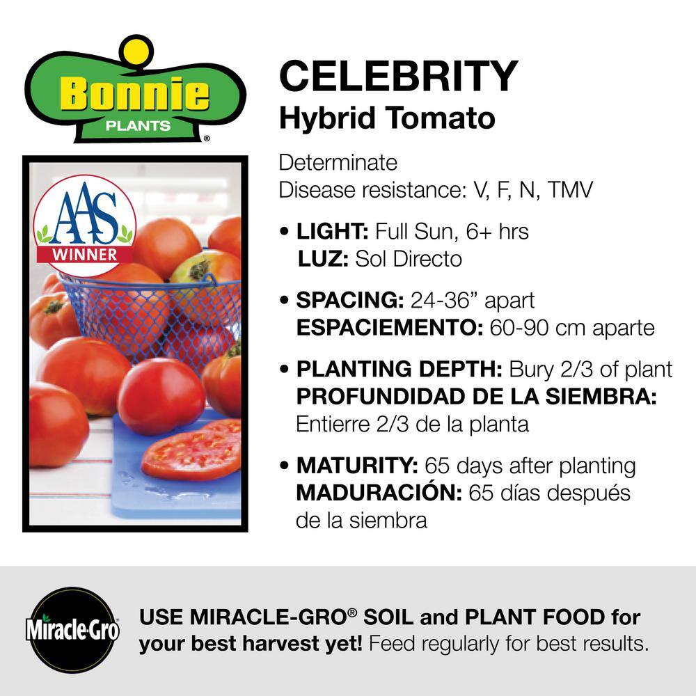 Bonnie Plants 19 oz. Celebrity Tomato Plant (2-Pack) 202050