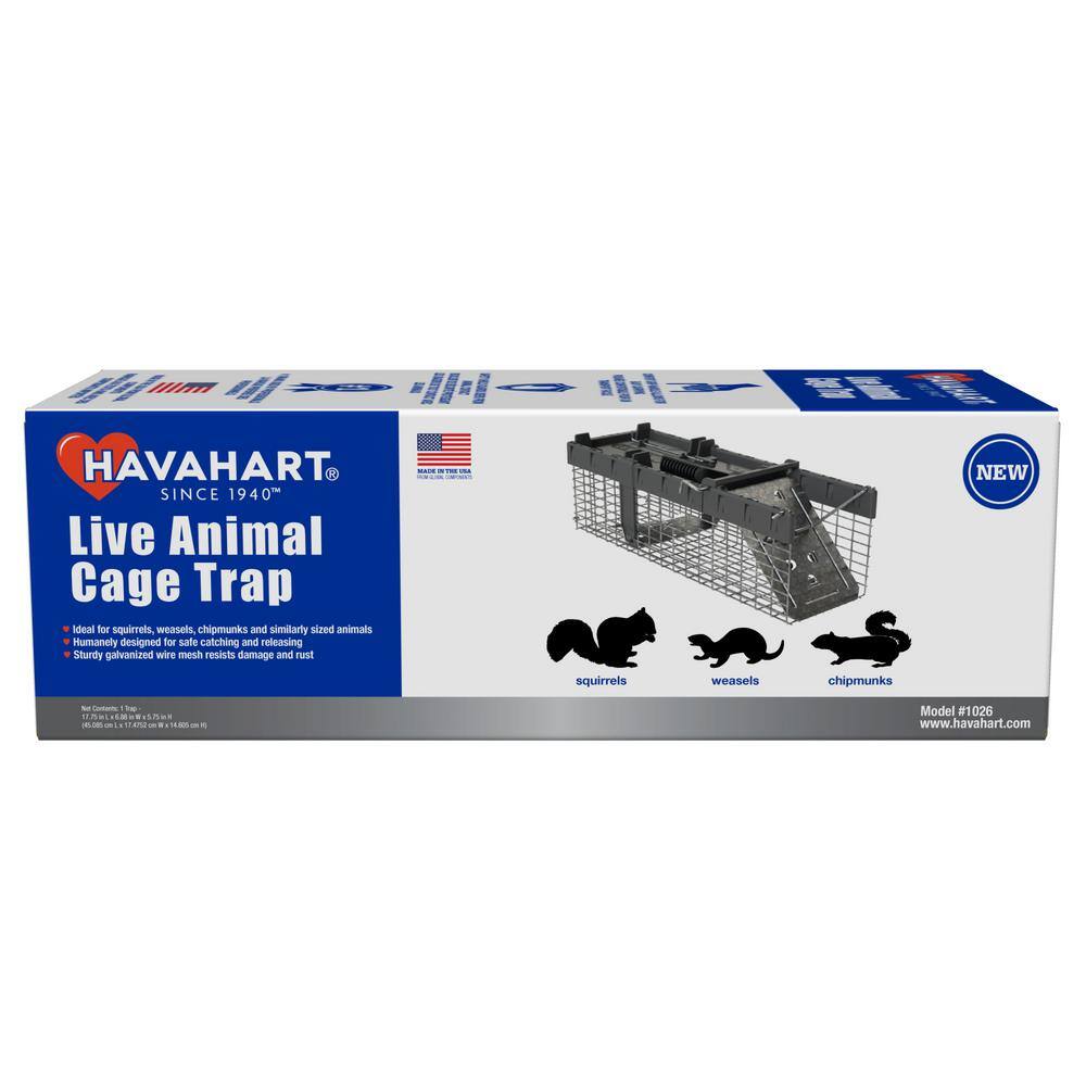 Havahart Small 1-Door Humane Live Catch and Release Animal Cage Trap for Squirrels Weasels Chipmunks 1026