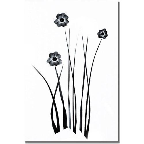 Trademark Art White and Black Bunch Canvas Wall Art by Kathie McCurdy