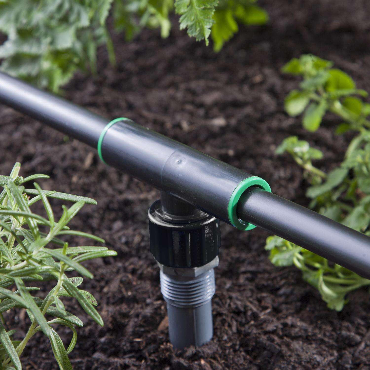 Raindrip 3/4 in. Threaded Drip Irrigation Tee 1 pk