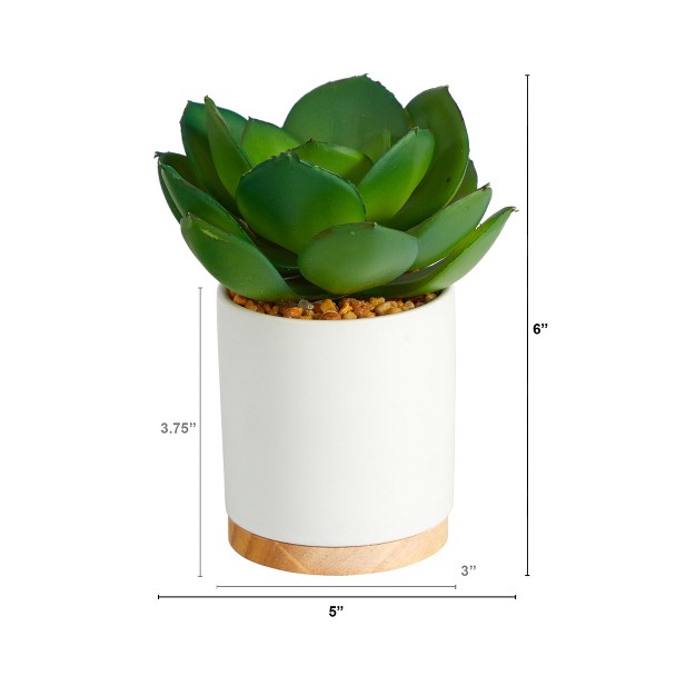 Nearly Natural 6 in Succulent Artificial Plant In White Ceramic Planter