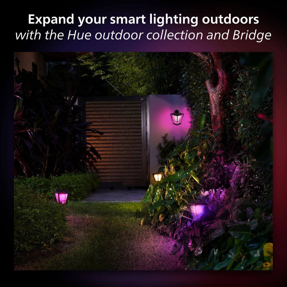 Philips Hue Econic Outdoor Smart Color Changing Wall Down Lantern with Integrated LED (1-Pack) 1744030V7