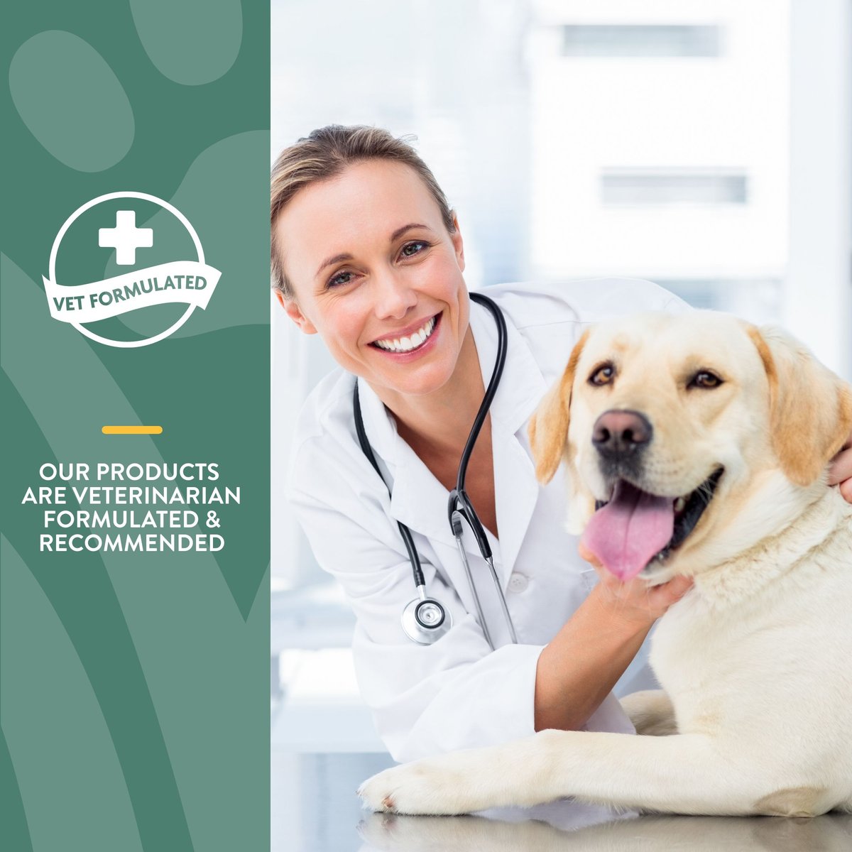 NaturVet Joint Health Advanced Care Powder Joint Supplement for Cats and Dogs