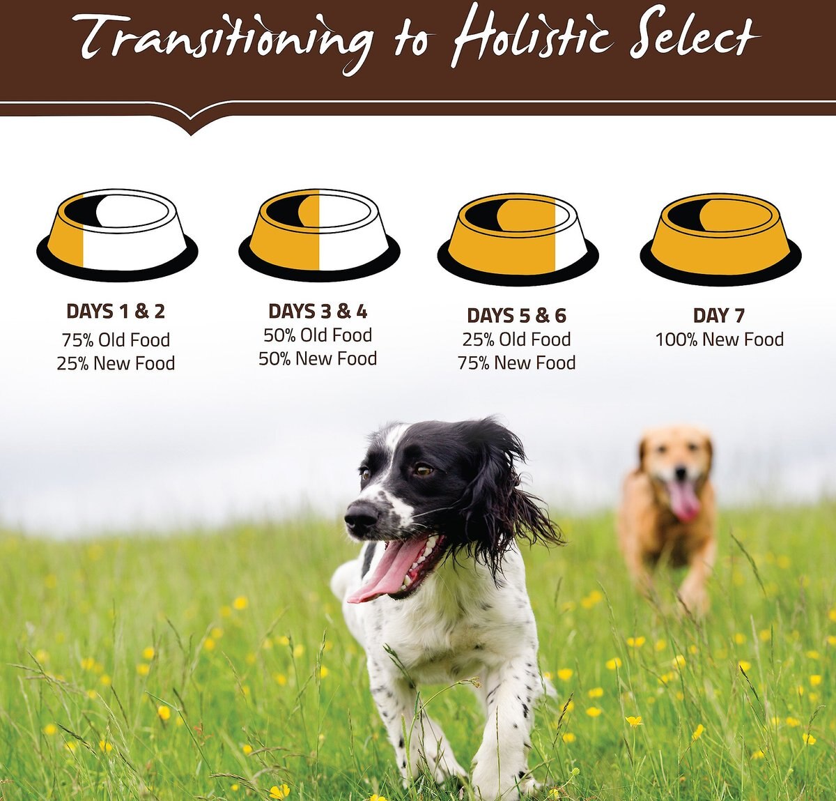 Holistic Select Adult Health Duck Meal Recipe Grain-Free Dry Dog Food