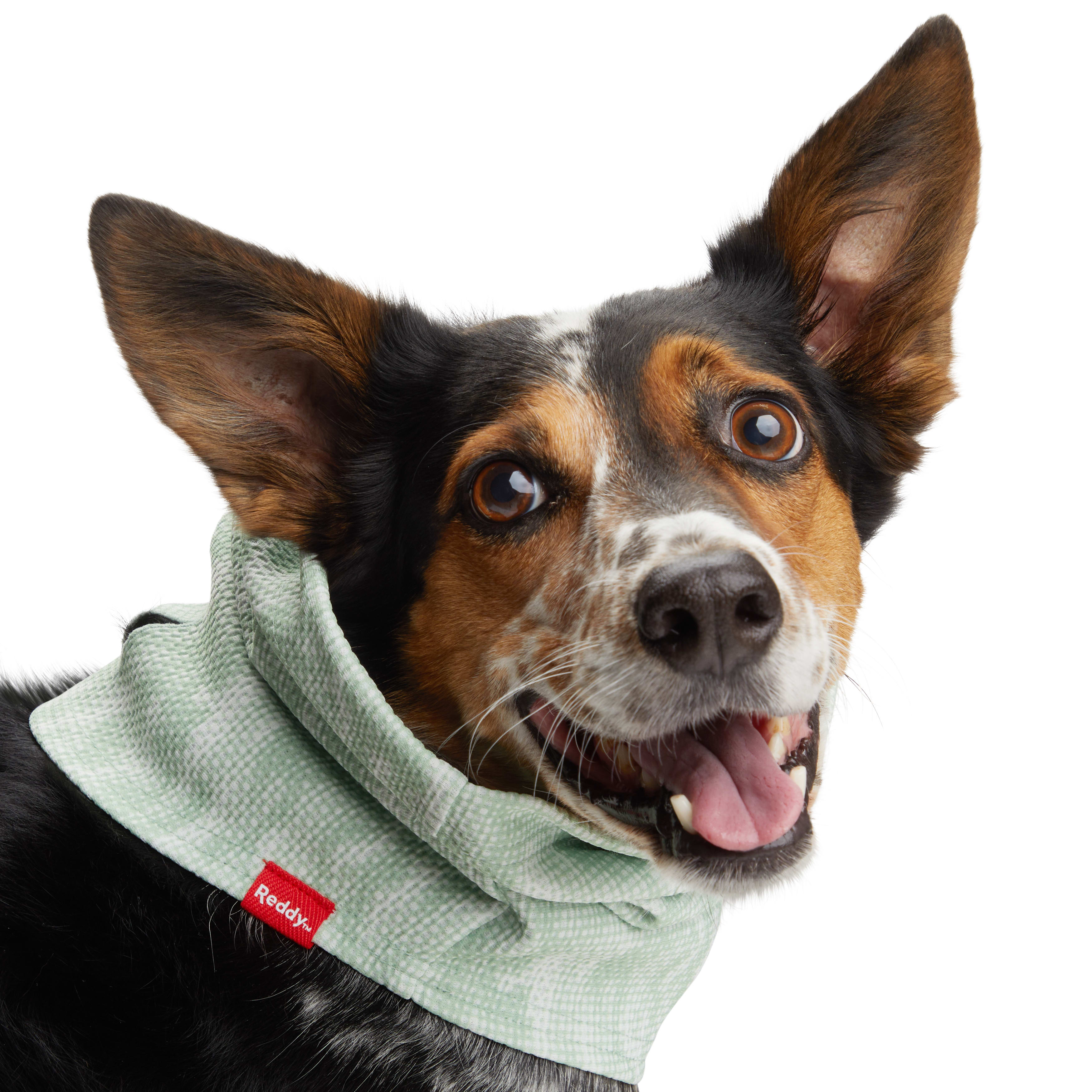 Reddy Green Neck Gaiter for Dogs， X-Small/Small