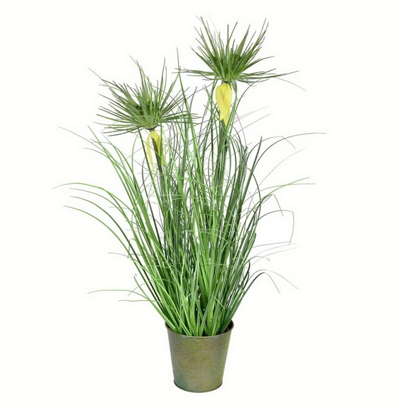 Vickerman Green Cyperus Grass In Iron Pot