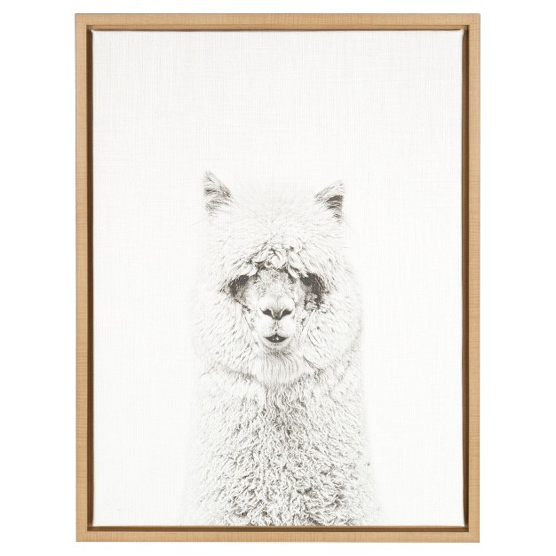 X 18 quot Hairy Alpaca Framed Canvas Art Uniek