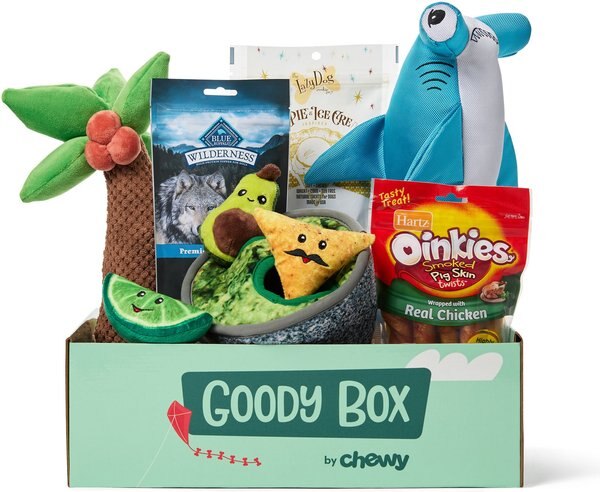 Goody Box Summer Dog Toys and Treats， Medium/Large