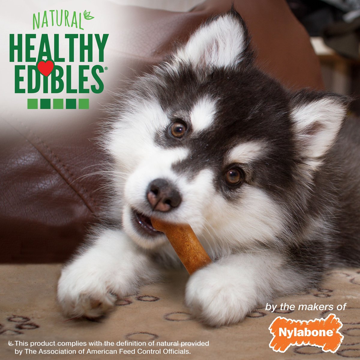 Nylabone Healthy Edibles Longer Lasting Puppy Turkey and Sweet Potato Flavor Small Dog Bone Treats