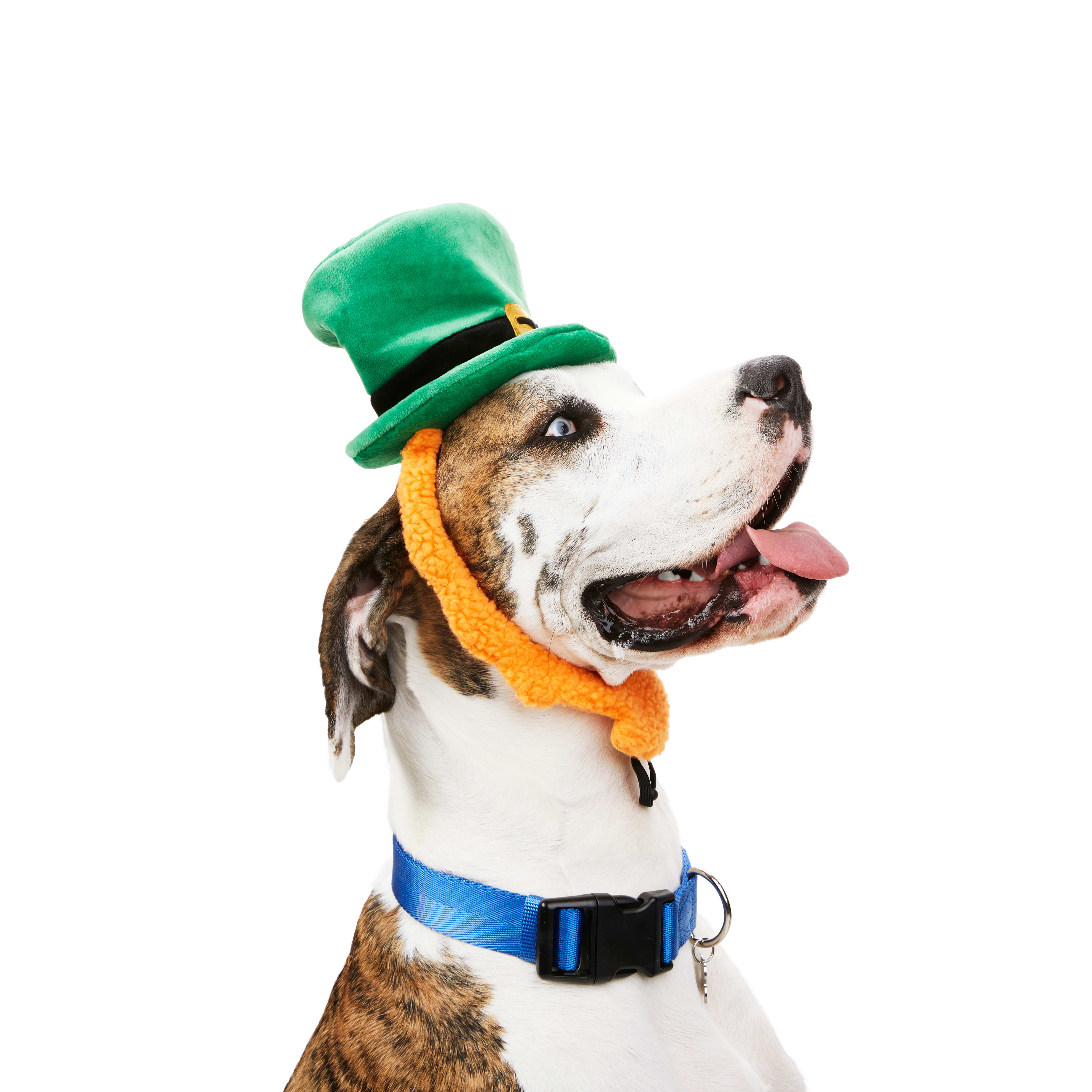 YOULY St. Pats Leprechaun Dog Headpiece， Small/Medium