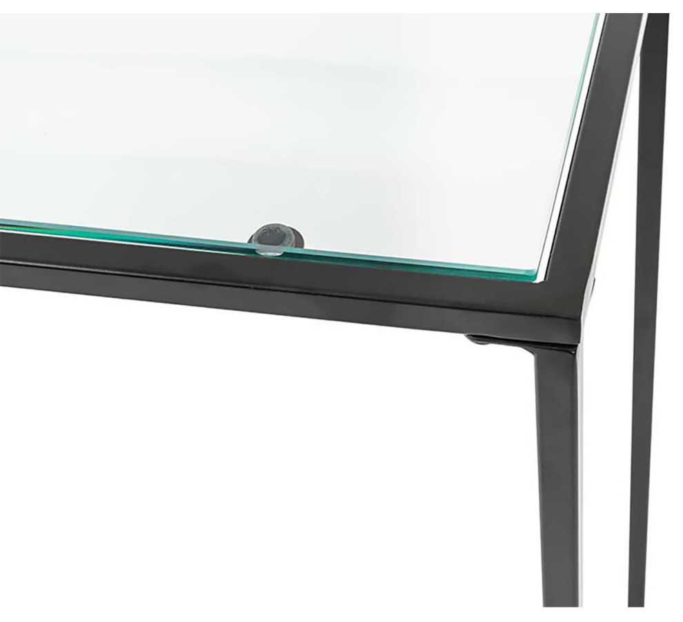 Arvi 36 quotClear Glass Console Table   Contemporary   Console Tables   by Euro Style  Houzz