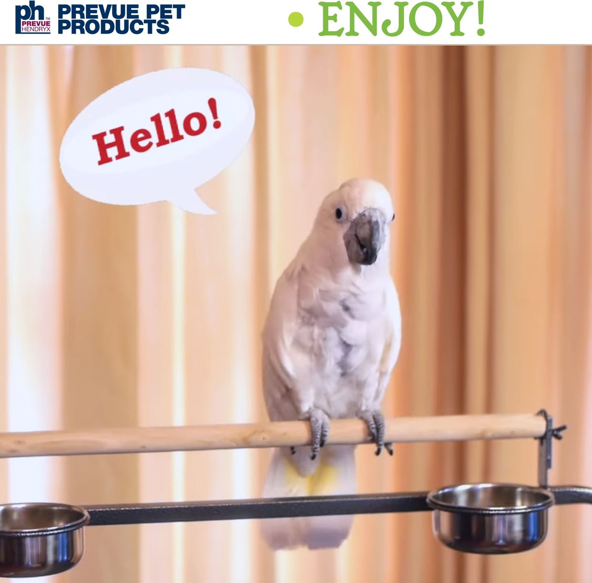 Prevue Pet Products Mimic Me Bird Voice Recording Unit