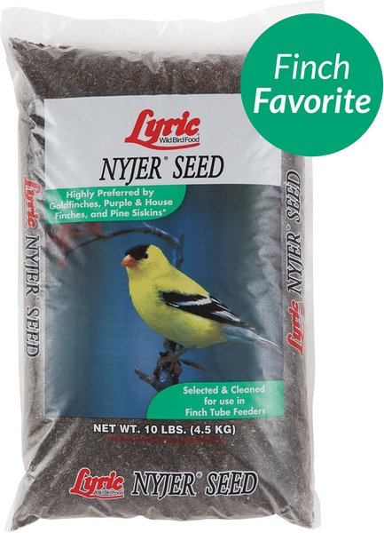 Lyric Nyjer Seed Wild Bird Food， 10-lb bag