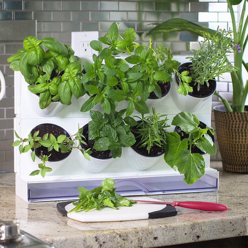 Countertop Garden Kit