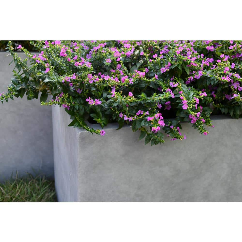 KANTE Set of 2 Lightweight Modern Rectangle Outdoor Planters， 31 in. and 23 in. Long， Natural Concrete RF0104AB-C80021