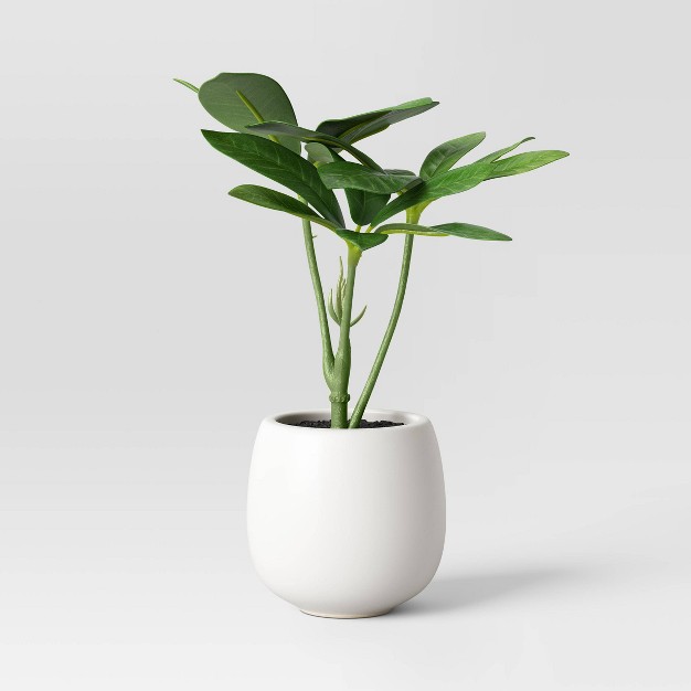 Mini Tabletop Schefflera Artificial Plant - Quicskcart