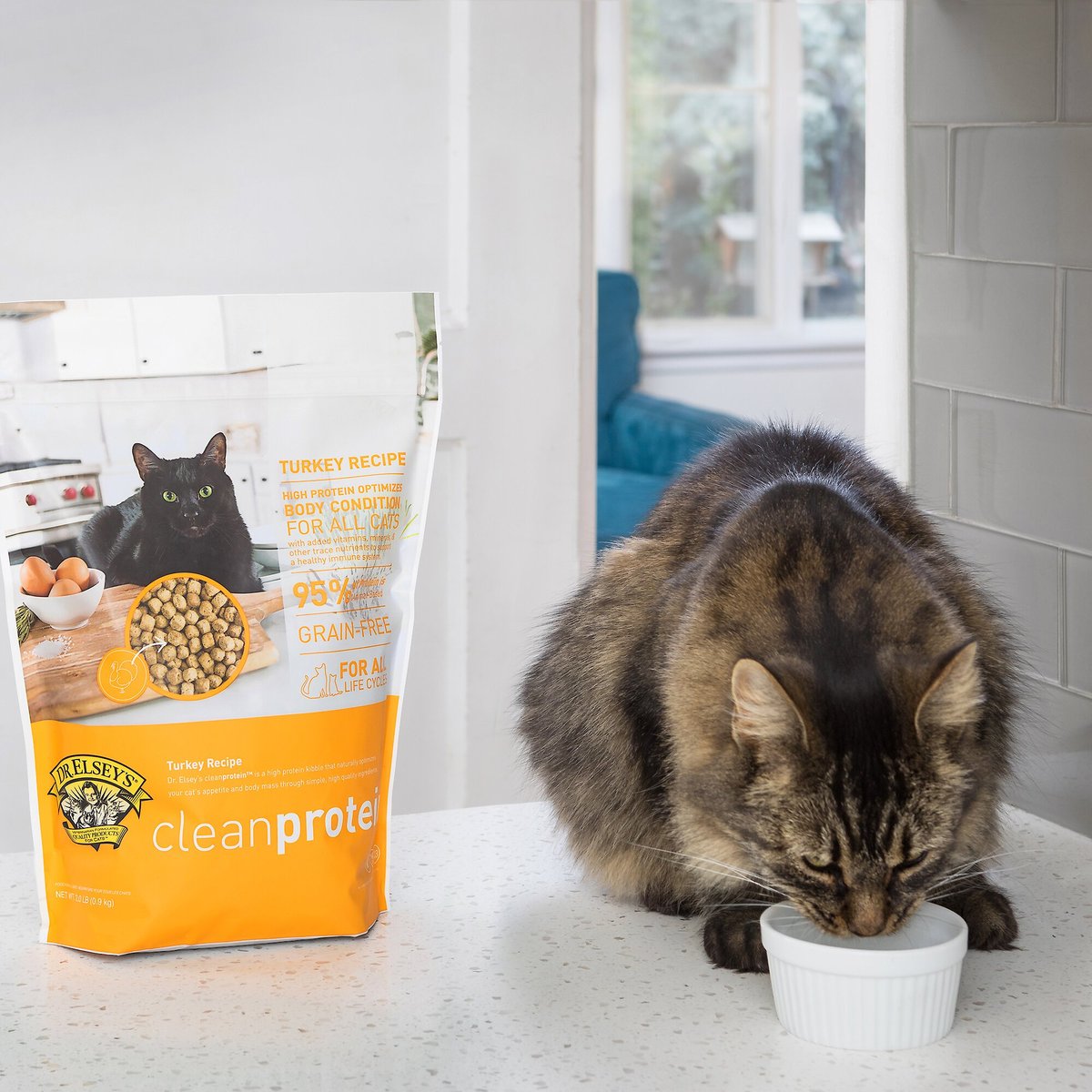 Dr. Elsey's Clean Protein Turkey Recipe Grain-Free Dry Cat Food