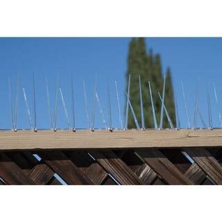Bird B Gone Enviro Spike 10 ft. x 5 in. Plastic Bird Spikes 100521839