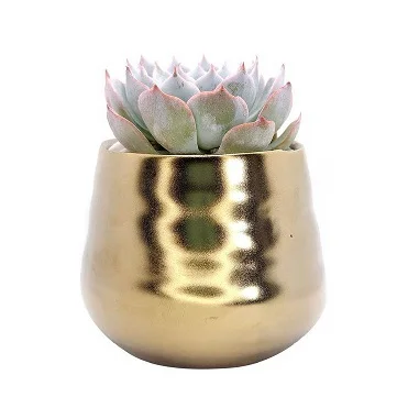 Gold Polished Handmade Custom Handmade Metal Planters for Garden Home Decorative Plant Flower Pot