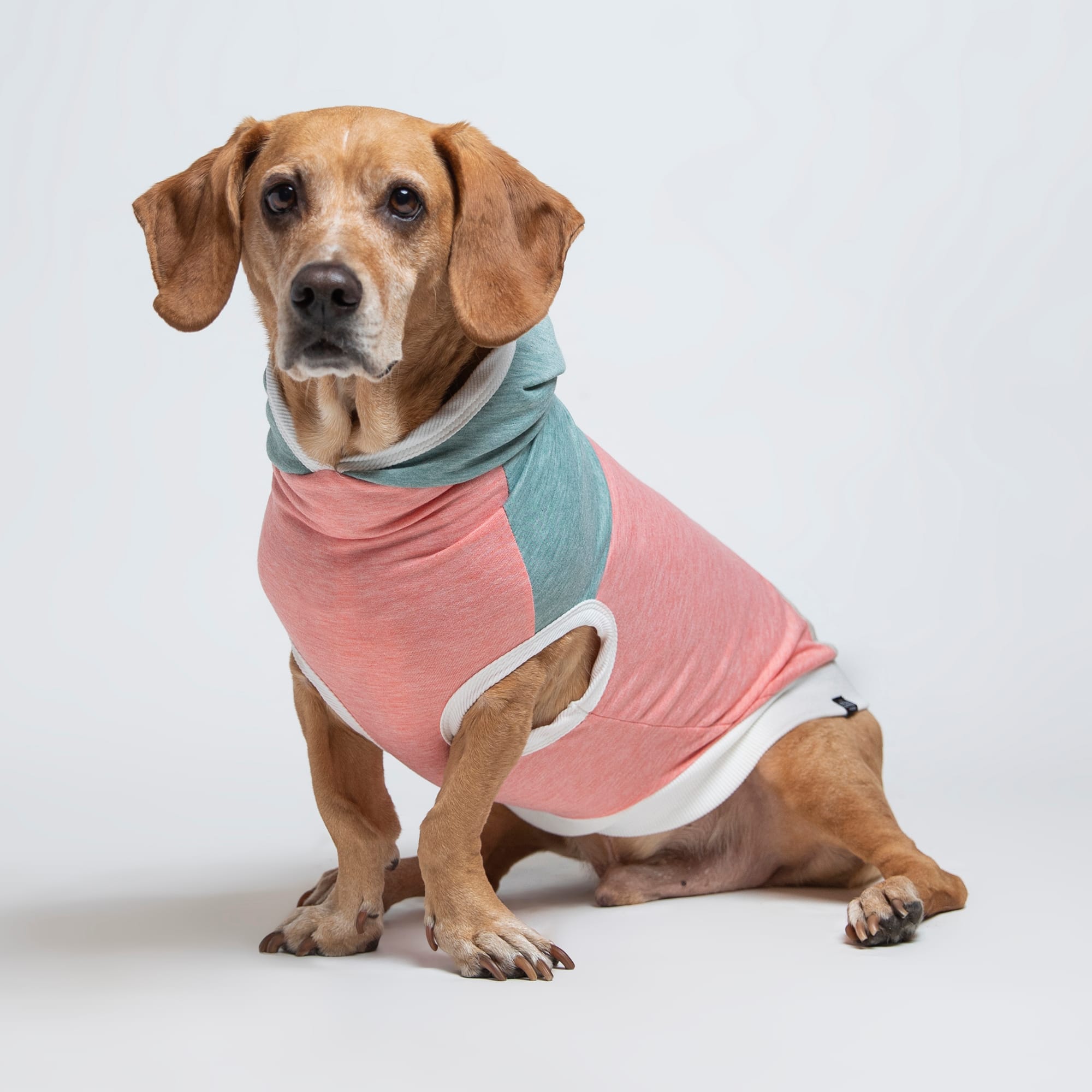 Long Dog Clothing Co. The Surfer II Sleeveless Lightweight Hoodie Dog Shirt， X-Small