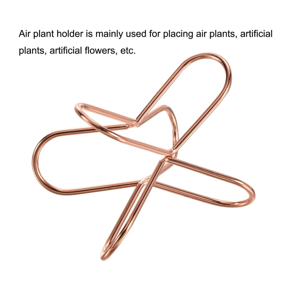 Air Plant Holder Organizer  Irregular Small Flower Pot Display Stand   Rose Gold