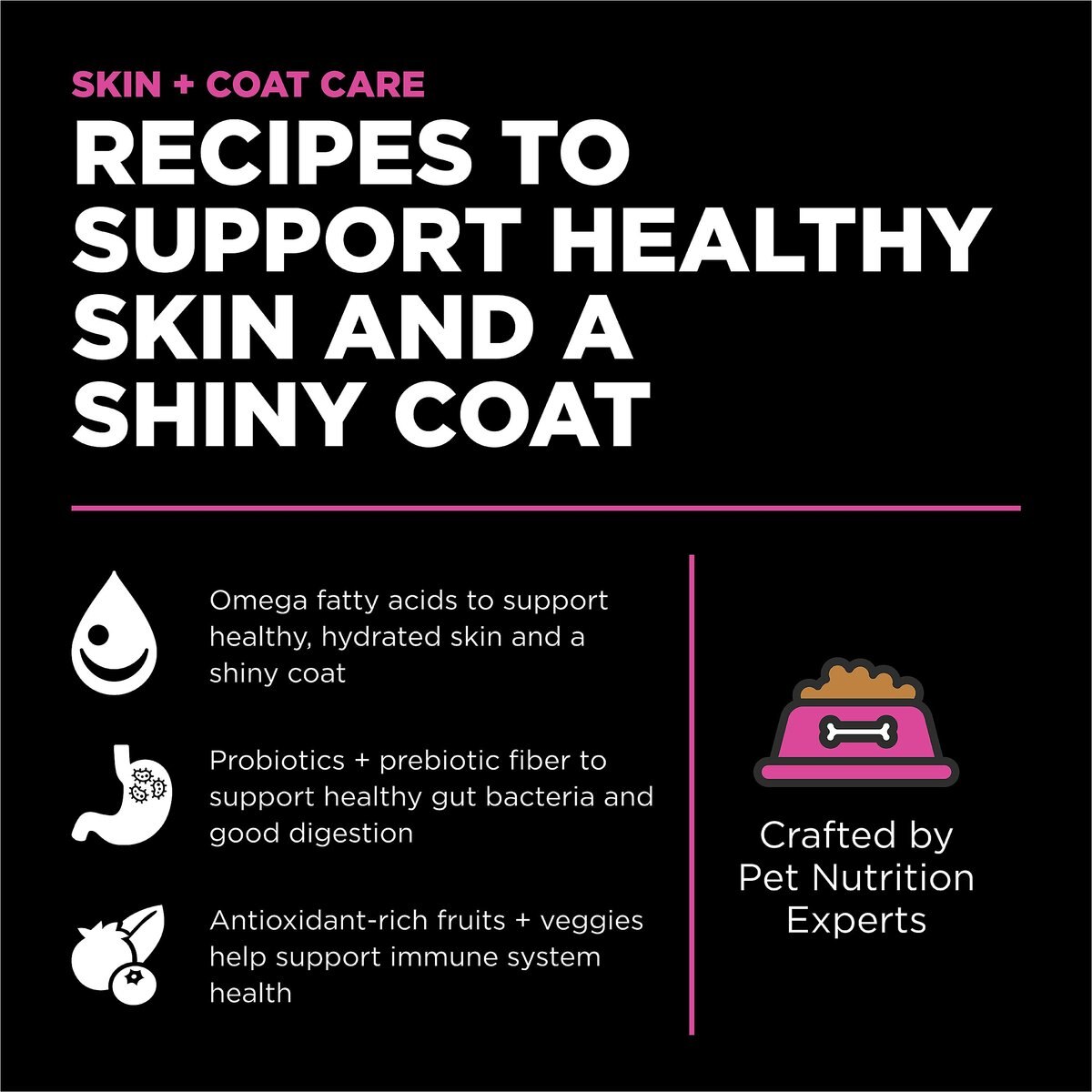 Go! Solutions Skin + Coat Care Chicken Recipe Dry Cat Food