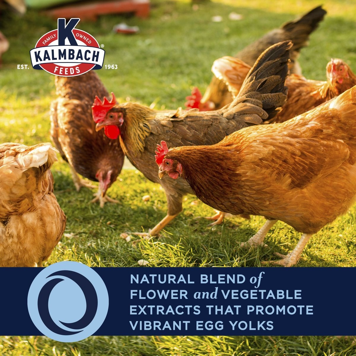 Kalmbach Feeds All Natural Poultry Supplement， 25-lb block