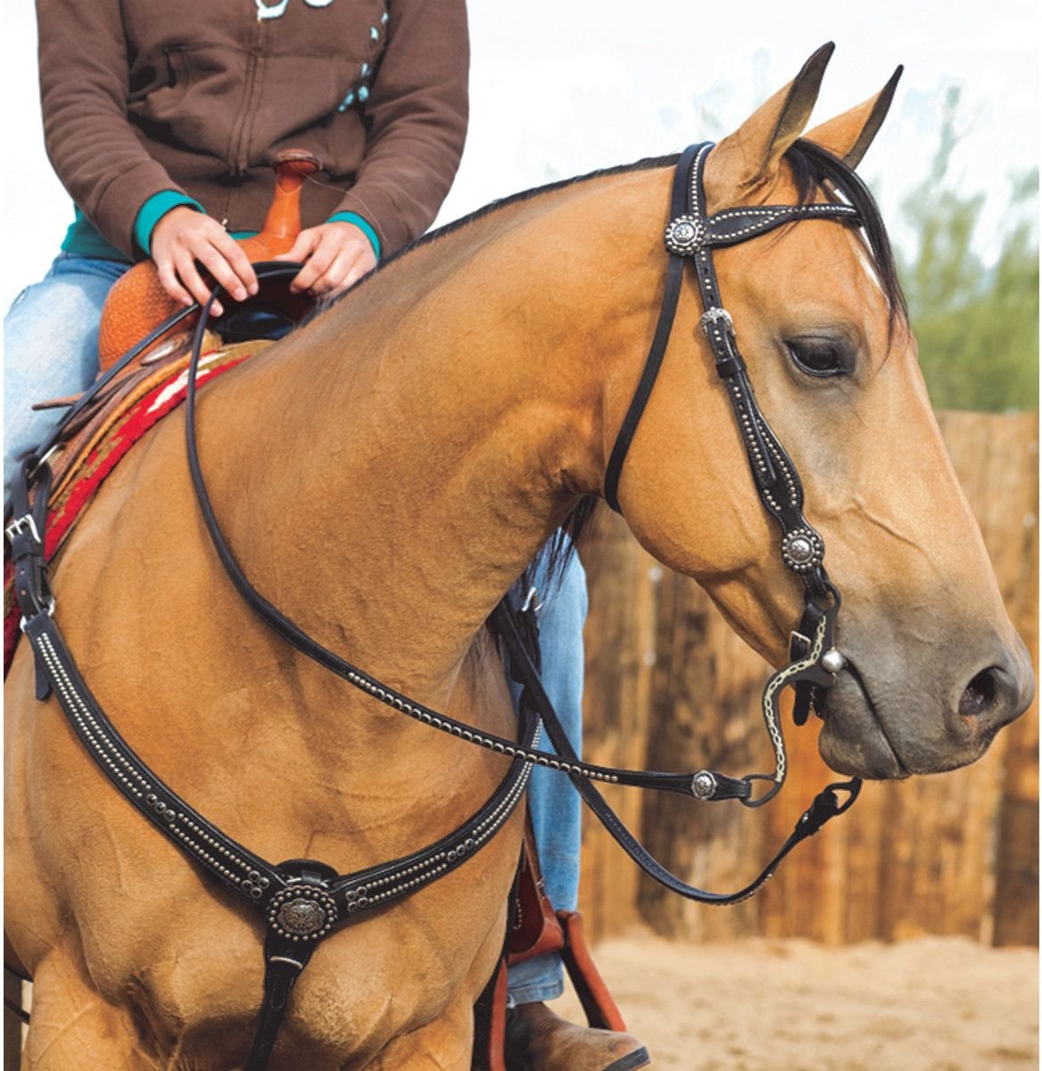 Weaver Leather Back in Black Horse Headstall