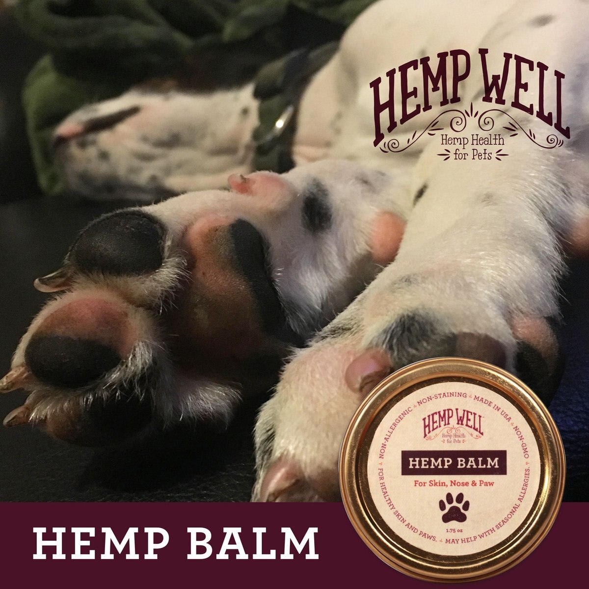 Hemp Well Cat and Dog Skin， Nose and Paw Hemp Balm， 1.75-oz tin