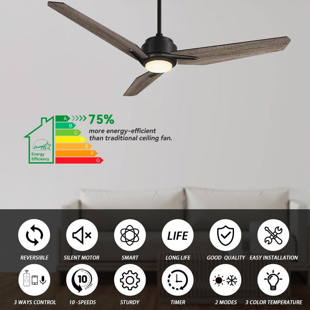 CARRO Tilbury 52 in Integrated LED IndoorOutdoor Black Smart Ceiling Fan with Light and Remote Works with AlexaGoogle Home