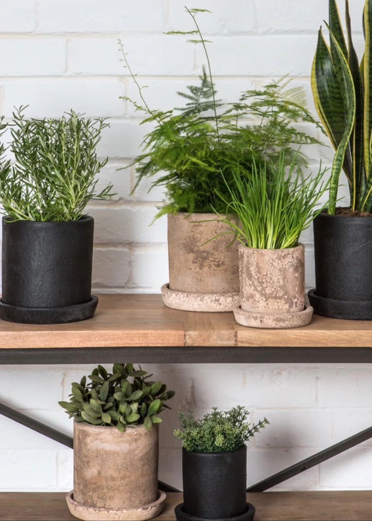 Terra Planter in Coal in Various Sizes by design by Dassie Artisan