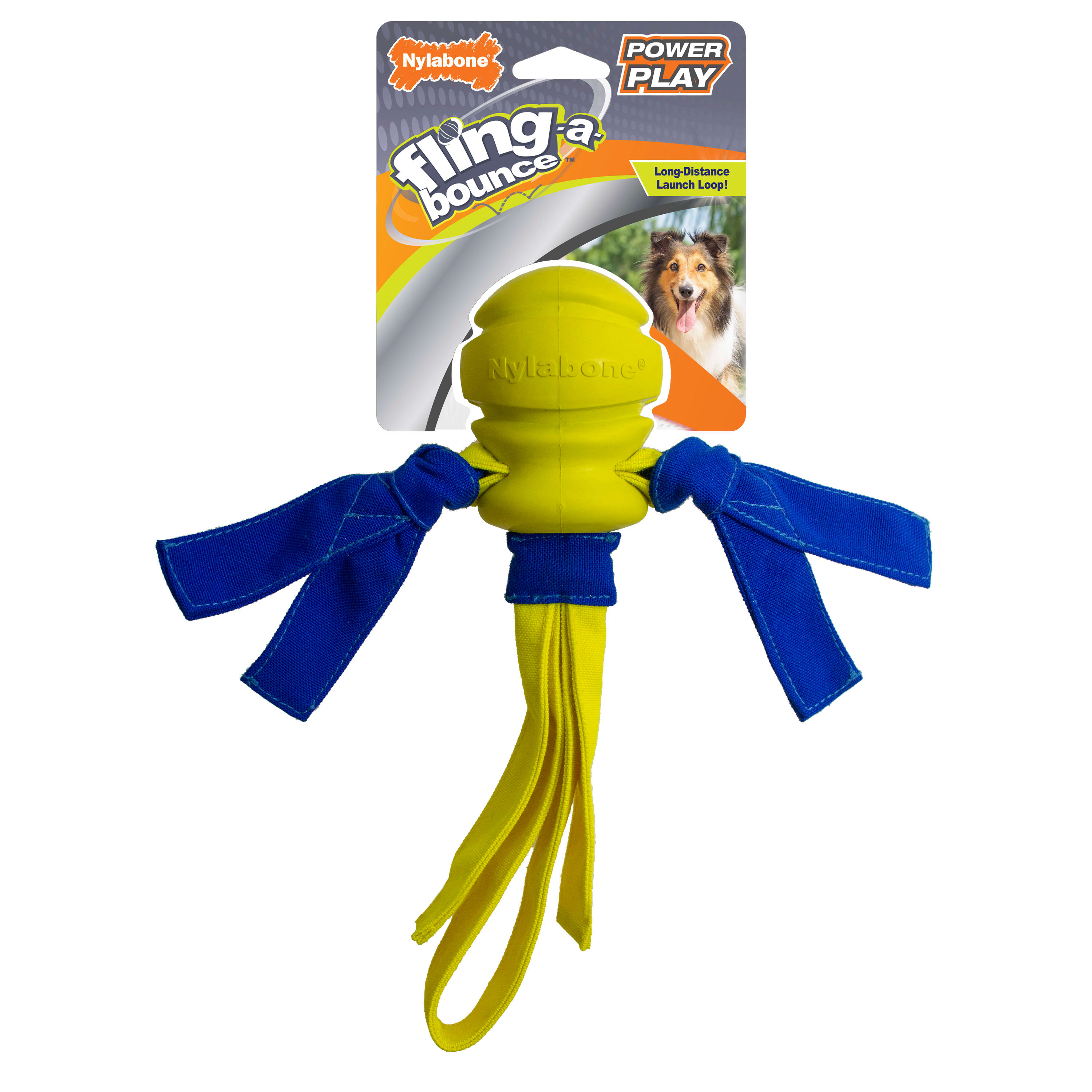 NYLABONE Power Play Fling-a-Bounce Fetch Dog Toy