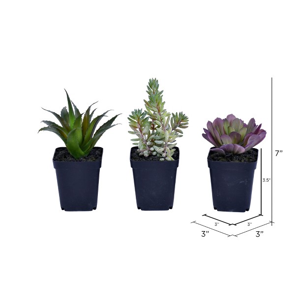 Artificial Succulent Black Plastic Planters Pot Set Of 3