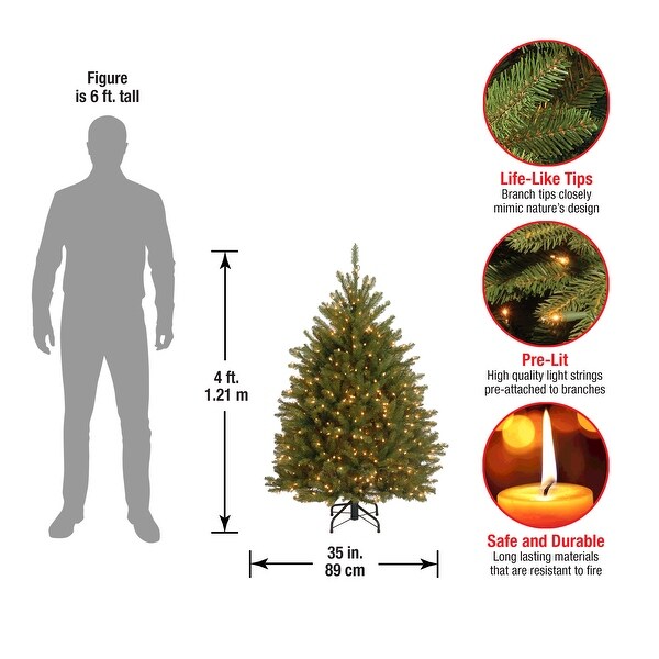 National Tree Company 4 ft. Dunhill Fir Tree with Clear Lights