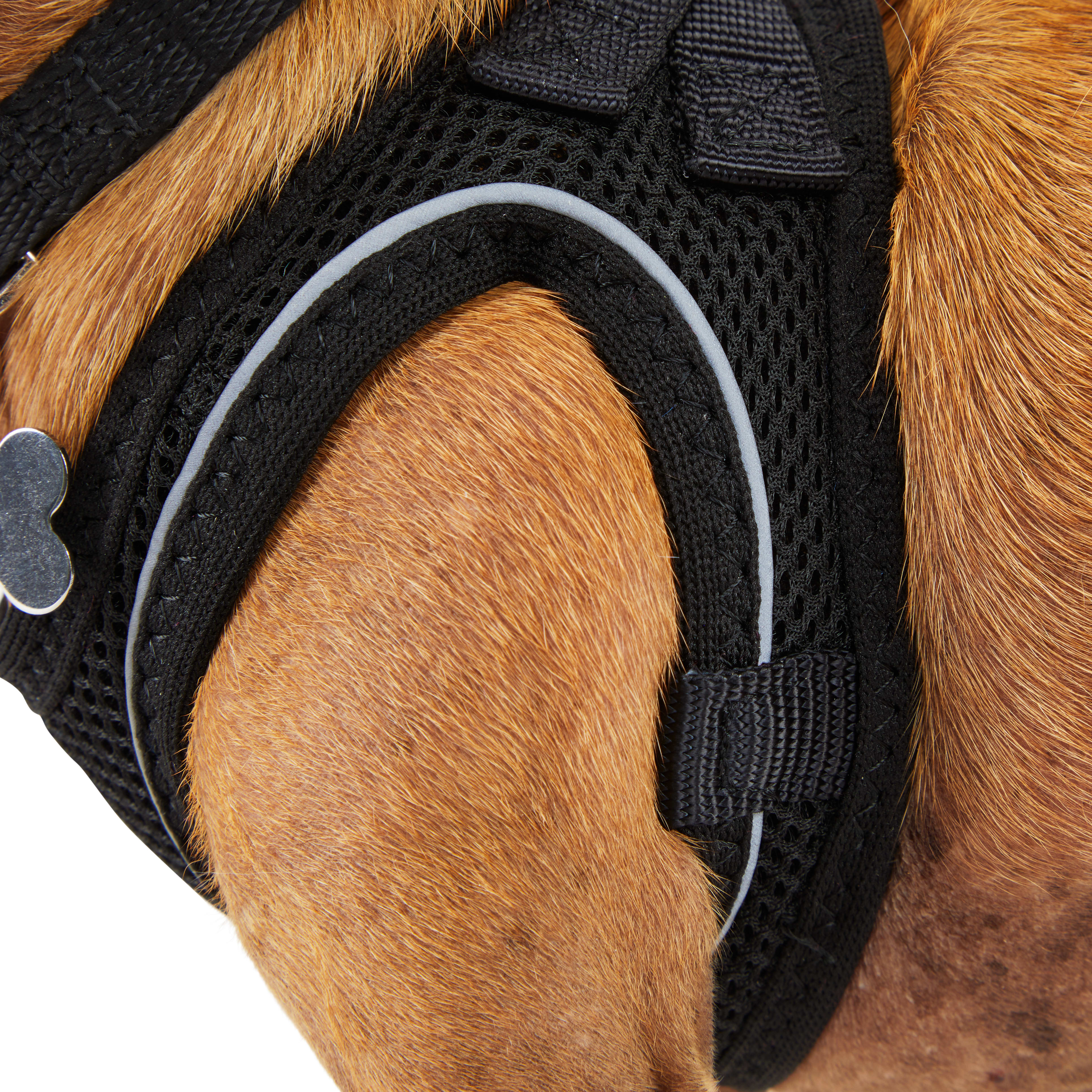 YOULY Black Reflective Mesh Dog Harness， XX-Small/X-Small