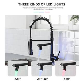 FLG Commercial Kitchen Sink Faucet with LED Light Single Handle Matte Black LED Kitchen Faucets with Pull Down Sprayer CC-0029-MB