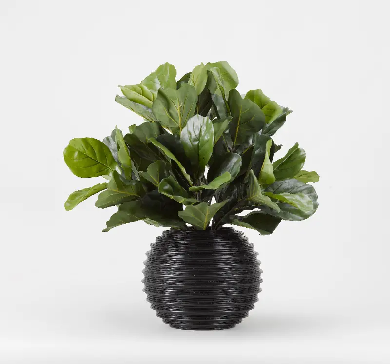 Faux Green Fiddle Leaf Fig Arrangement in Black Ball Planter