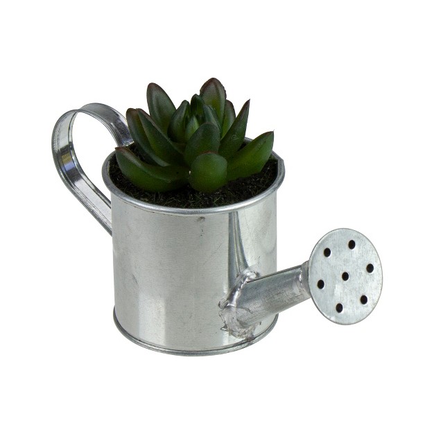 X Pachyveria Succulent In Water Can Artificial Potted Plant - Green/silver