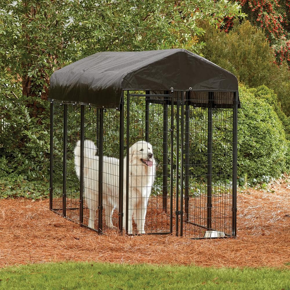 PRIVATE BRAND UNBRANDED 4 ft. x 8 ft. x 6 ft.  Welded Wire Kennel 308606B