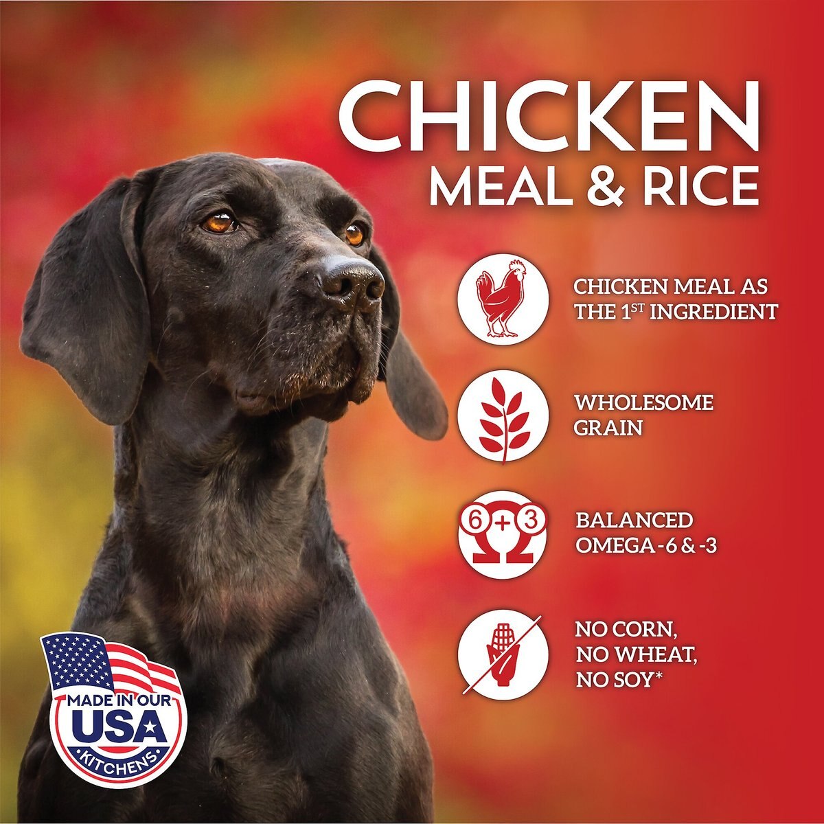 Wholesomes Chicken Meal and Rice Formula Adult Dry Dog Food